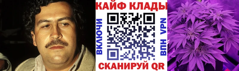 Хочу наркоту Туран Alpha PVP Псилоцибиновые грибы COCAIN MDMA Каннабис МЕФ Гашиш