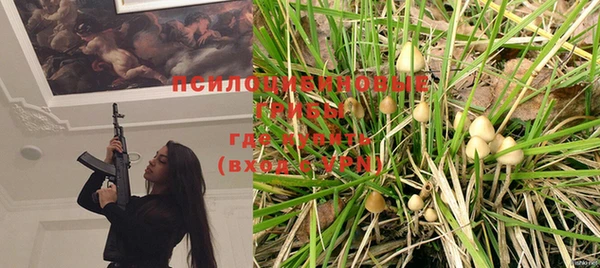 шишки Билибино