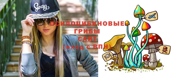 дурь Наволоки