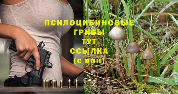 бутират Бикин