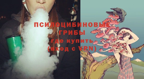 дурь Наволоки
