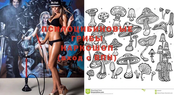 дурь Наволоки